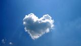 Das User-Bild des Tages - Juli 2006 - Bild 9