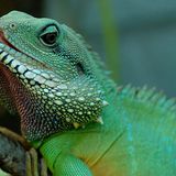 Das User-Bild des Tages - Juli 2006 - Bild 10