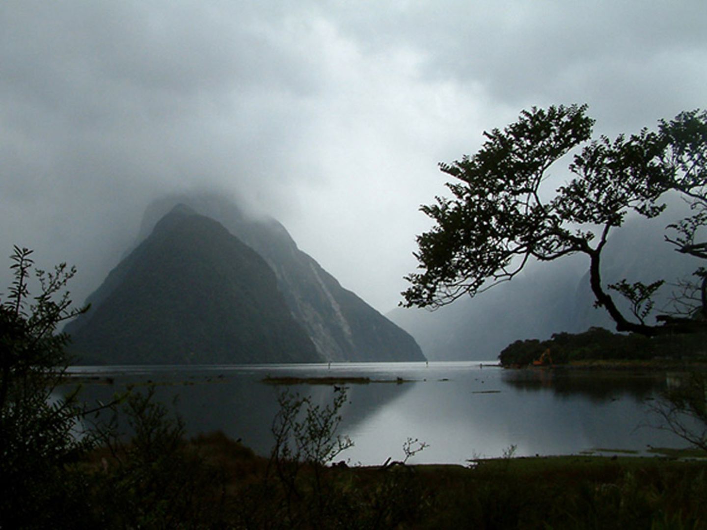 Das User-Bild des Tages - Juli 2006 - Bild 12