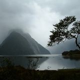 Das User-Bild des Tages - Juli 2006 - Bild 12