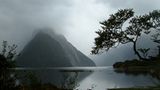 Das User-Bild des Tages - Juli 2006 - Bild 12