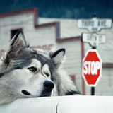 Das User-Bild des Tages - Juli 2006 - Bild 13