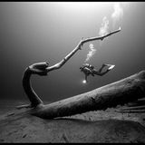 Das User-Bild des Tages - Juli 2006 - Bild 17