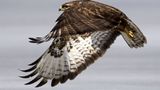 Das User-Bild des Tages - Juli 2006 - Bild 21