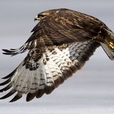 Das User-Bild des Tages - Juli 2006 - Bild 21