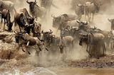 Fotogalerie: Der Zauber von Afrika - Bild 5