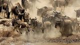 Fotogalerie: Der Zauber von Afrika - Bild 5