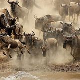 Fotogalerie: Der Zauber von Afrika - Bild 5