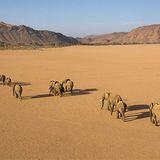 Fotogalerie: Der Zauber von Afrika - Bild 6