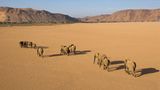 Fotogalerie: Der Zauber von Afrika - Bild 6