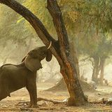 Fotogalerie: Der Zauber von Afrika - Bild 8