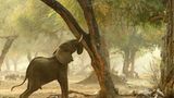 Fotogalerie: Der Zauber von Afrika - Bild 8