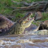 Fotogalerie: Der Zauber von Afrika - Bild 9