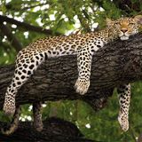 Fotogalerie: Der Zauber von Afrika - Bild 10