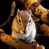 Das User-Bild des Tages - August 2006