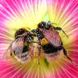 Das User-Bild des Tages - August 2006 - Bild 2