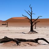 Das User-Bild des Tages - August 2006 - Bild 6