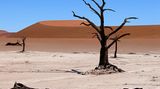 Das User-Bild des Tages - August 2006 - Bild 6