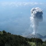 Das User-Bild des Tages - August 2006 - Bild 7