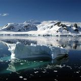 Das User-Bild des Tages - August 2006 - Bild 8