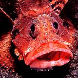 Das User-Bild des Tages - August 2006 - Bild 9