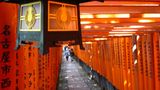 Das User-Bild des Tages - August 2006 - Bild 10