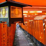 Das User-Bild des Tages - August 2006 - Bild 10