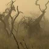 Das User-Bild des Tages - August 2006 - Bild 11