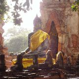 Das User-Bild des Tages - August 2006 - Bild 16