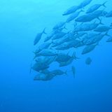 Das User-Bild des Tages - August 2006 - Bild 19