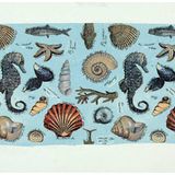 Kinderrätsel - Bild 12