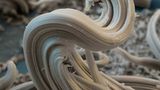 Fotoshow: Die wundersame Welt der Biominerale - Bild 7