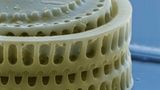 Fotoshow: Die wundersame Welt der Biominerale - Bild 11