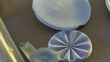Fotoshow: Die wundersame Welt der Biominerale - Bild 13