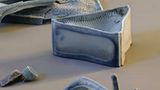 Fotoshow: Die wundersame Welt der Biominerale - Bild 14