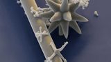 Fotoshow: Die wundersame Welt der Biominerale - Bild 18