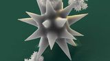 Fotoshow: Die wundersame Welt der Biominerale - Bild 19