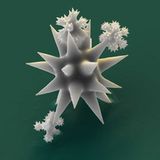 Fotoshow: Die wundersame Welt der Biominerale - Bild 19