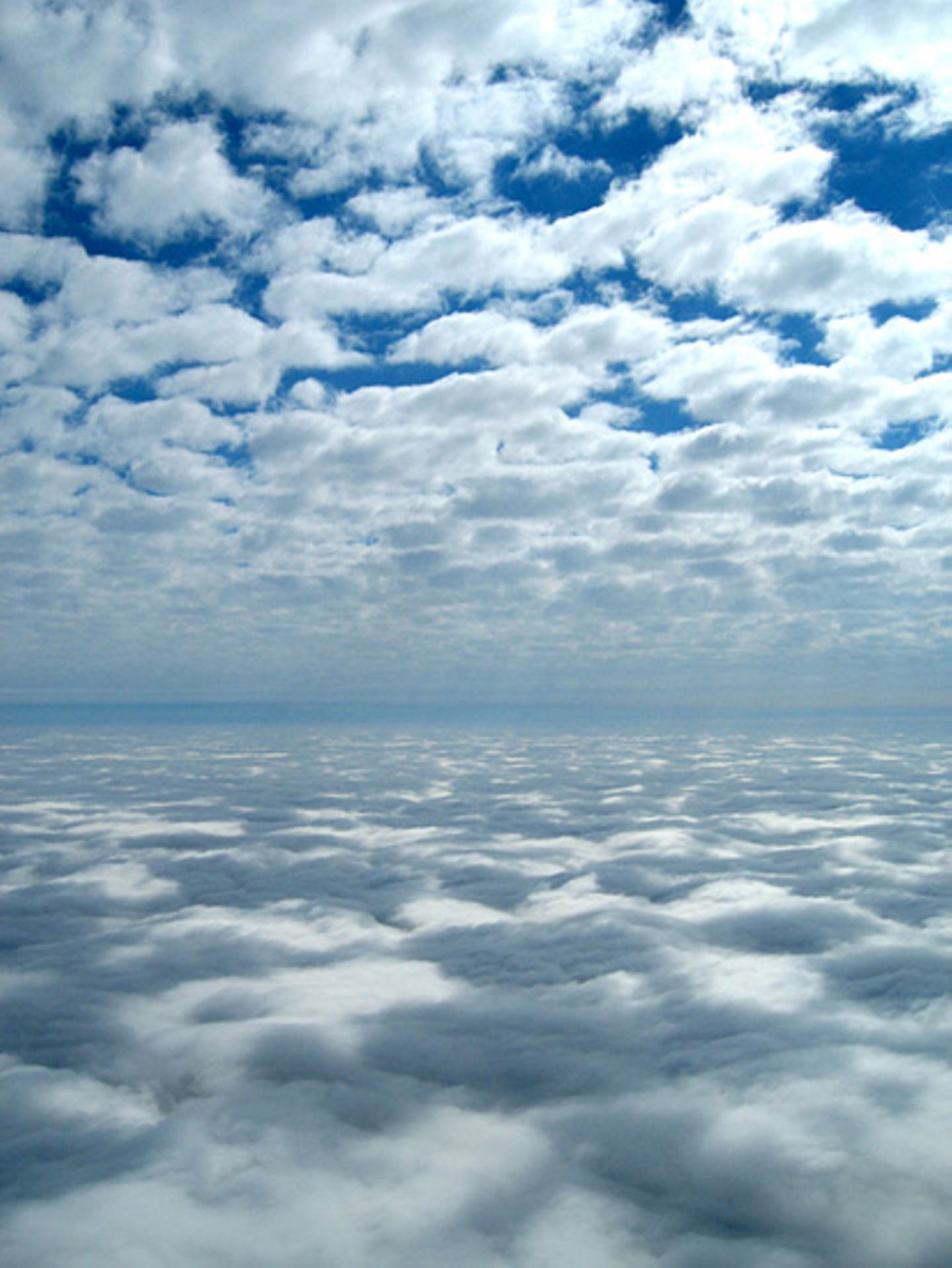 Das User-Bild des Tages - September 2006 - Bild 2