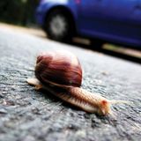 Das User-Bild des Tages - September 2006 - Bild 4