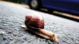 Das User-Bild des Tages - September 2006 - Bild 4