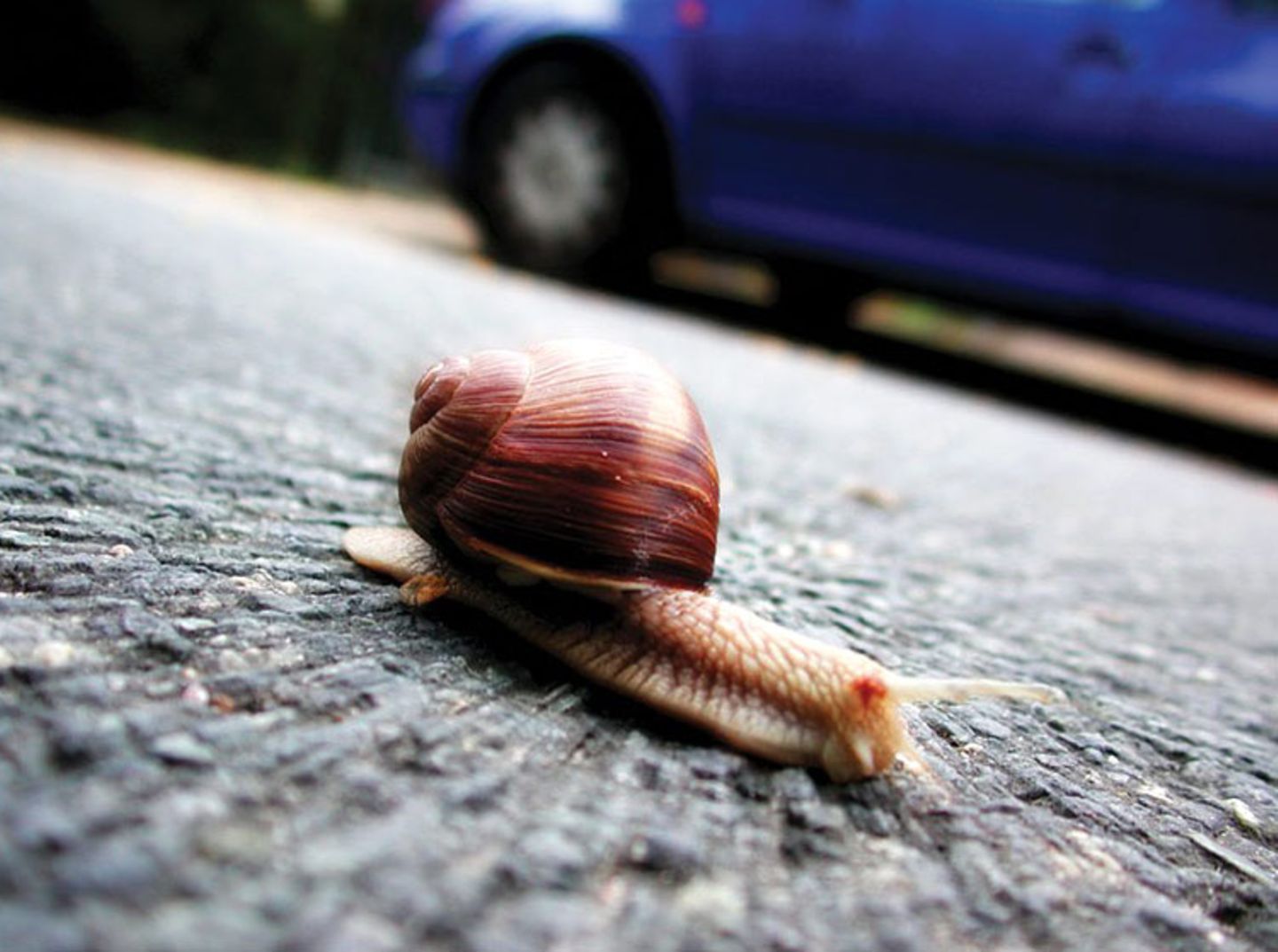 Das User-Bild des Tages - September 2006 - Bild 4