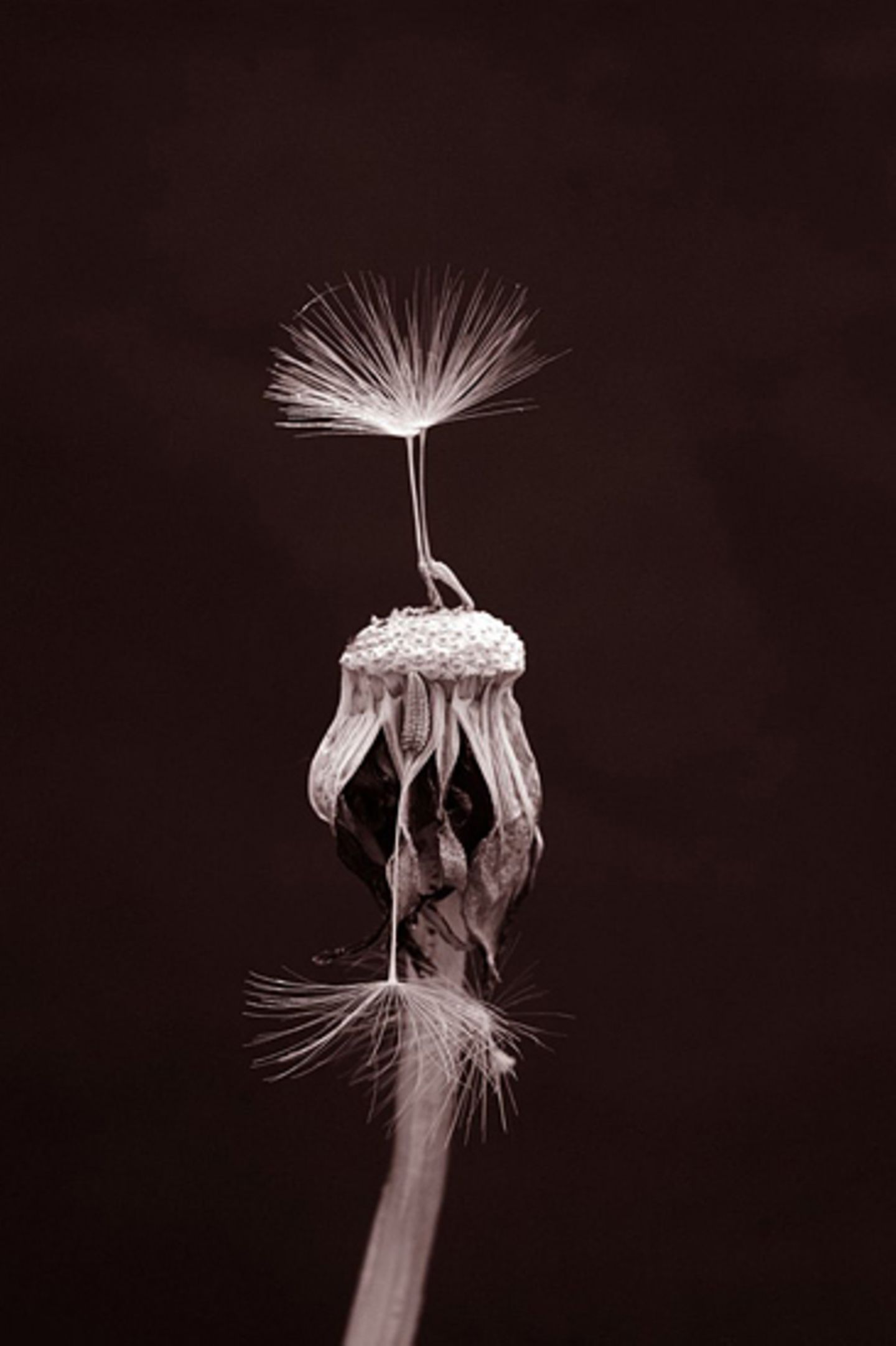 Das User-Bild des Tages - September 2006 - Bild 5