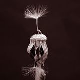 Das User-Bild des Tages - September 2006 - Bild 5