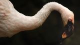 Das User-Bild des Tages - September 2006 - Bild 7