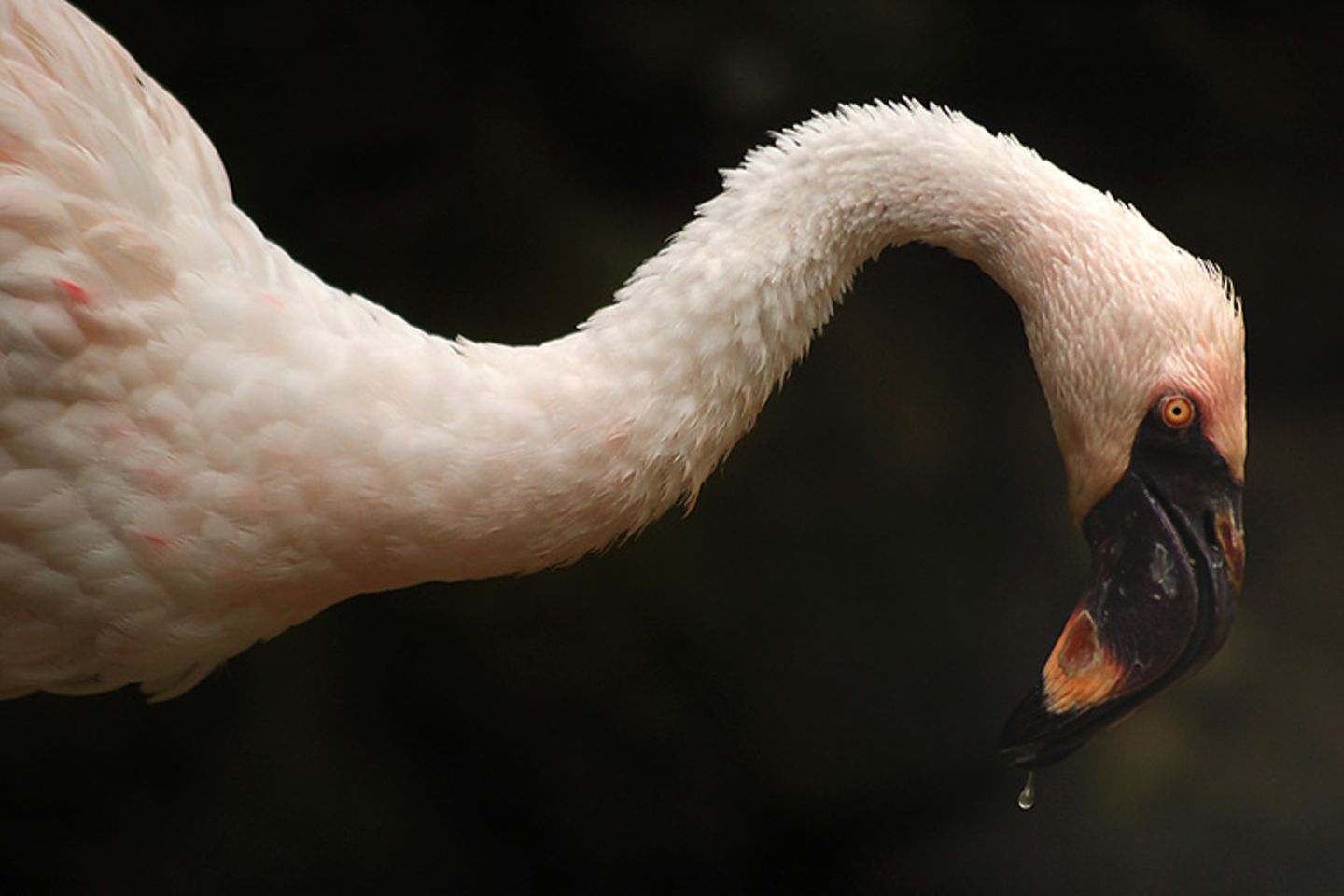 Das User-Bild des Tages - September 2006 - Bild 7