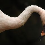 Das User-Bild des Tages - September 2006 - Bild 7