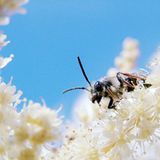 Das User-Bild des Tages - September 2006 - Bild 13