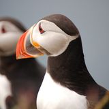 Das User-Bild des Tages - September 2006 - Bild 14