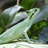 Das User-Bild des Tages - September 2006 - Bild 16